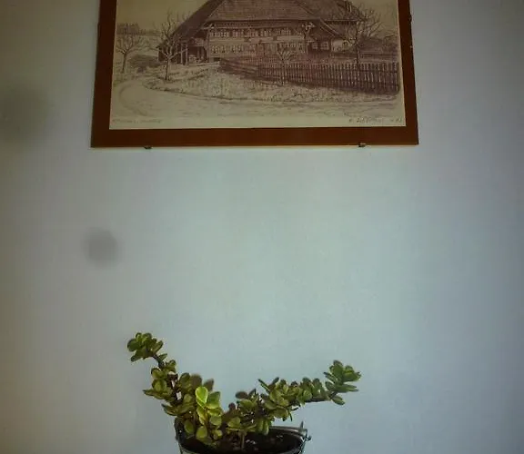 Bahnhof 因特拉肯