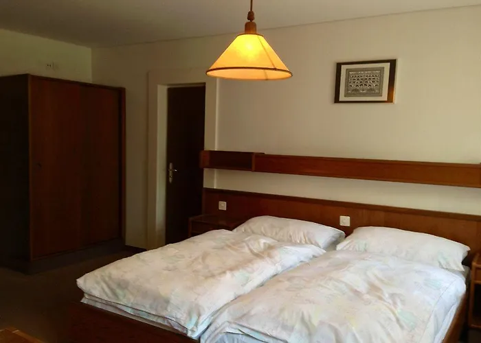 酒店 Bahnhof 因特拉肯